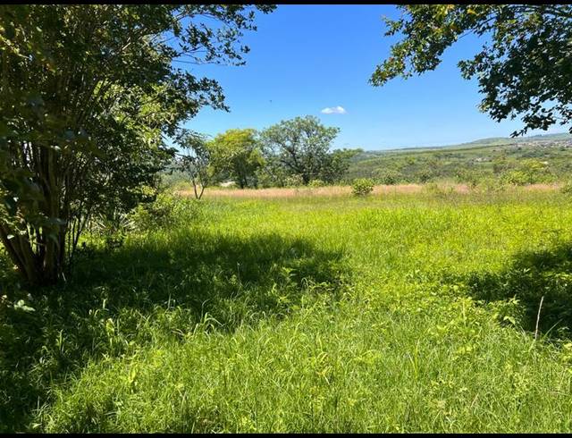 FARM FOR SALE IN MKONDENI